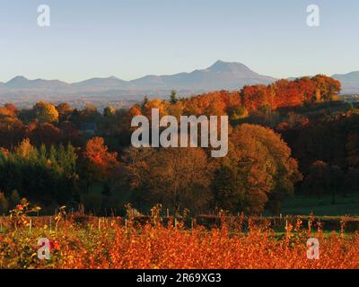 Francia. Auvergne. Puy-de-Dôme (63) visto da la Villefranche a Biollet Foto Stock