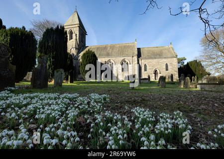 Snowdrop Time St. Chiesa di Cuthberts, Kildale, North Yorkshire nel Parco Nazionale Foto Stock