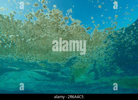 Uno strato grasso oleoso di immondizia lentamente si sposta sulla superficie del mare. Rifiuti di oceani inquinanti che galleggiano sulla superficie dell'acqua blu. Oceano coperto con strato di Foto Stock