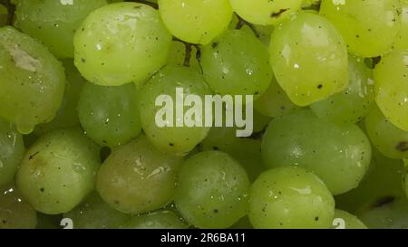 Primo piano di grappolo di uva bianca con gocce d'acqua Foto Stock