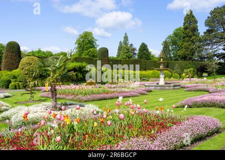 Brodsworth Hall and Gardens giardini giardini formali o Parterre alla Brodsworth hall vicino a Doncaster South Yorkshire Inghilterra UK GB Europe Foto Stock