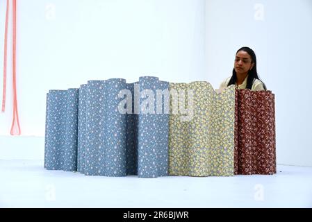 Le opere d'arte esposte quest'anno includono un enorme mobile sospeso in pasta di legno, un dipinto tie-dye alto quasi tre metri in inchiostri colorati che appaiono quasi da sogno, e grandi dipinti di regni abbandonati surrealisti. Sarà esposta una varietà di opere in diversi mezzi di comunicazione e la mostra racchiude l’approccio unico e sperimentale di ogni studente alla creazione artistica. Le scuole RA sono state parte integrante della Royal Academy fin dalla sua fondazione nel 1768, offrendo l'unico programma gratuito di post-laurea triennale in Europa. Si svolge dal 8 giugno -25 giugno 2023 alla Royal Academy ... Foto Stock