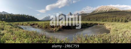 Vista selvaggia a Kananaskis con montagne, torrente, ruscello che scorre attraverso la grande valle di montagna, zona di passaggio in estate con sfondo, vista selvaggia Foto Stock