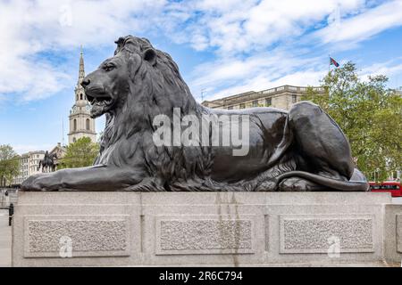 Uno dei quattro leoni di Trafalgar Square, che circonda la colonna di Nelson, è comunemente noto come "Leoni di Landseer" Foto Stock