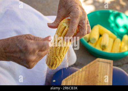 Goiania, Goias, Brasile – 02 giugno 2023: Le mani di una donna che tira i capelli dal mais verde e una ciotola verde piena di pannocchie di mais sullo sfondo. Foto Stock