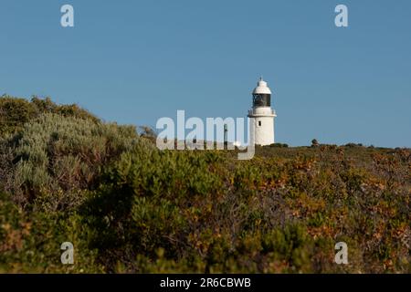Faro di Cape Naturaliste nel sud-ovest dell'Australia Occidentale, alta torre cilindrica bianca con lente di Fresnel, costruita in pietra calcarea di n Foto Stock
