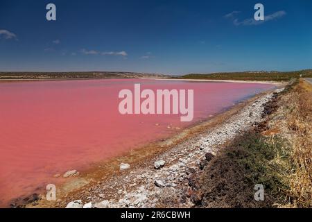 Lago rosa a Port Gregory in Australia Occidentale, acqua colorata da batteri e alghe, bel contrasto tra l'oceano blu e l'acqua rosa, nuvole Foto Stock
