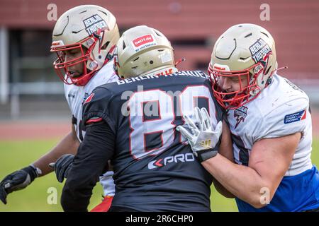 Berlino, Germania. 08th giugno, 2023. American Football: Lega europea di calcio, Media Day al Berlin Thunder, Friedrich-Ludwig-Jahn-Sportpark. Giocatori durante l'allenamento ad attrezzatura. Credit: Andreas Gora/dpa/Alamy Live News Foto Stock