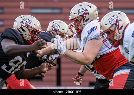 Berlino, Germania. 08th giugno, 2023. American Football: Lega europea di calcio, Media Day al Berlin Thunder, Friedrich-Ludwig-Jahn-Sportpark. Giocatori durante l'allenamento ad attrezzatura. Credit: Andreas Gora/dpa/Alamy Live News Foto Stock