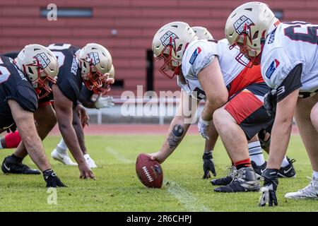 Berlino, Germania. 08th giugno, 2023. American Football: Lega europea di calcio, Media Day al Berlin Thunder, Friedrich-Ludwig-Jahn-Sportpark. Giocatori durante l'allenamento ad attrezzatura. Credit: Andreas Gora/dpa/Alamy Live News Foto Stock