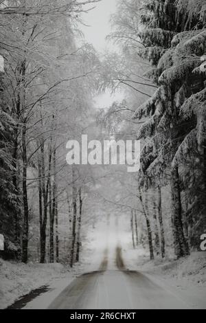 idilliaco scenario invernale di una strada coperta di neve che si snodano attraverso una tranquilla foresta con alti alberi sempreverdi su entrambi i lati del percorso Foto Stock
