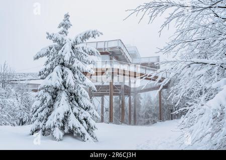 Passerella in legno attraverso le cime degli alberi, intitolato Stezka Valaska in Beskydy montagne, Czech republic.Frozen Skywalk in inverno, bella piattaforma di osservazione in nat Foto Stock