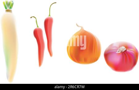 illustrazione, vettore per una varietà di verdure, ravanelli, peperoncino e cipolla Illustrazione Vettoriale