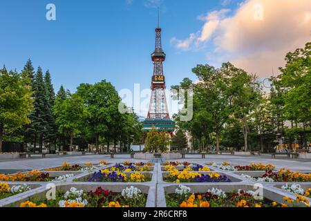 Torre della TV di Sapporo al Parco Odori, a Sapporo, Hokkaido, Giappone Foto Stock