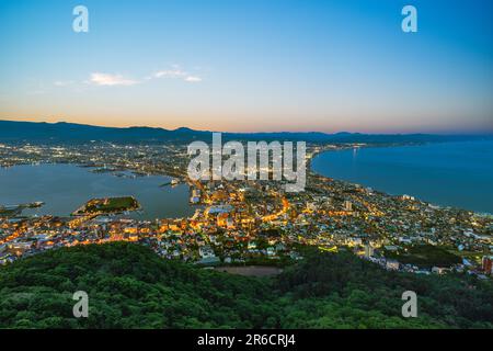 Vista notturna dal Monte Hakodate, Torre Goryokaku a Hokkaido, Giappone. Foto Stock