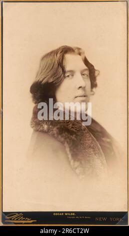Oscar Wilde (1854-1900), poeta e drammaturgo irlandese, ritratto di testa e spalle, Napoleone Sarony, 1882 Foto Stock
