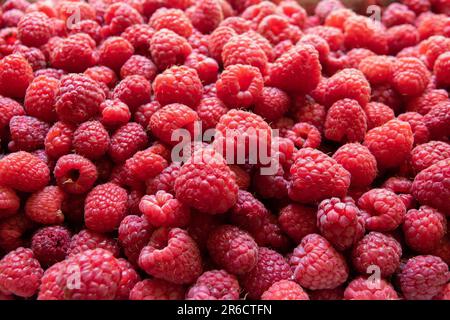 Sfondo di lamponi rossi freschi e dolci disposti da vicino. Frutti di lampone sfondo Foto Stock