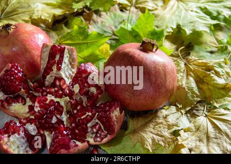 Due melograni freschi maturi e uno tagliato su foglie autunnali gialle. Primo piano Foto Stock