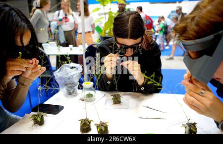 Praga, Repubblica Ceca. 8th giugno, 2023. I visitatori hanno inseminato le piante alla Fiera della Scienza di Praga, nella Repubblica Ceca, il 8 giugno 2023. La Fiera della Scienza, organizzata annualmente dall'Accademia delle Scienze della Repubblica Ceca, si svolge dal 8 giugno al 10 giugno di quest'anno. Credit: Dana Kesnerova/Xinhua/Alamy Live News Foto Stock