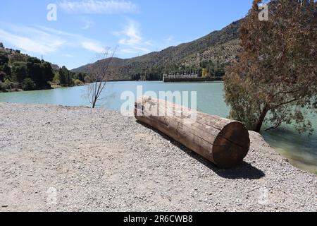 Log vicino a un paesaggio fluviale, centrale idroelettrica (diga di El Chorro), serbatoio di Tajo de la Encantada, caminito del rey, Malaga, Spagna Foto Stock