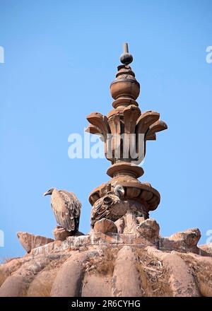 Orccha, India - 21 febbraio 2011: Le piume marroni è buona mimetizzazione sulla torre beige contro i cieli blu profondi, cima della cupola di Jehanghir Mahal Foto Stock