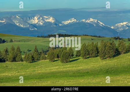 il torrente flint si trova sopra le colline pedemontane e i prati vicino ad avon, montana Foto Stock