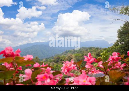 Paesaggio naturale che domina le belle montagne e gli alberi della Thailandia. Foto Stock