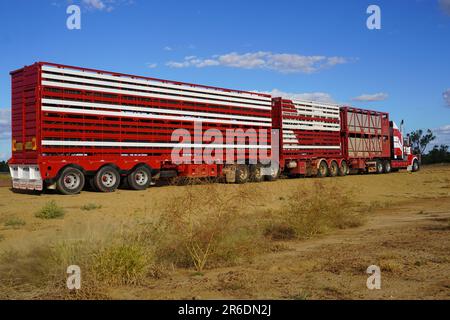 Red Road Train sotto il cielo blu nell'entroterra australiano Foto Stock