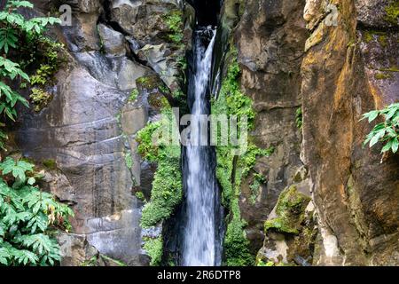 La cascata Salto do Cabrito nell'isola di Sao Miguel, Azzorre, Portogallo Foto Stock