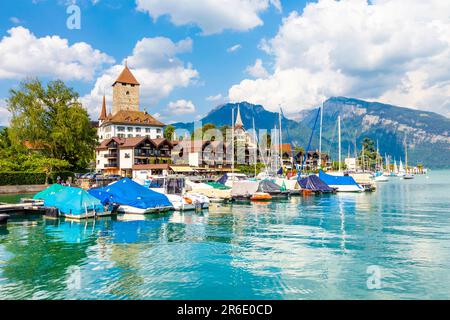 Barche sul lago di Thun nel porto turistico di Spiez con il Castello di Spiez sullo sfondo, Spiez, Svizzera Foto Stock