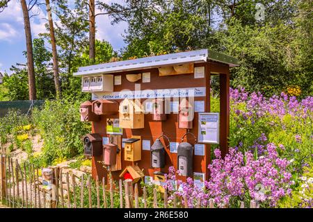 BADEN-WUERTTEMBERG : GARDEN SHOW BALINGEN - SCATOLE PER ALLEVAMENTO E NIDIFICAZIONE Foto Stock