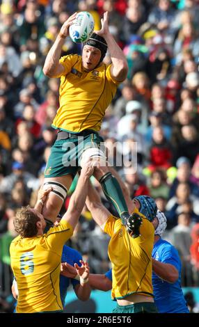 Il Dan Vickerman dell'Australia vince un allineamento contro l'Italia durante una partita in Pool C della Coppa del mondo di Rugby 2011, North Harbour Stadium, Auckland, Nuova Zelanda, Sunday, Settembre 11, 2011. Foto Stock