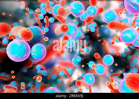 Batteri sferici e batteri a forma di asta all'interno di biofilm con molecole di rilevamento del quorum (piccoli cerchi rossi), illustrazione. Un biofilm è una colonia di ba Foto Stock
