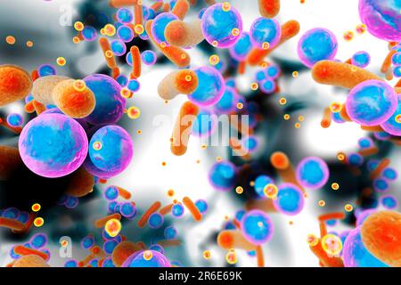 Batteri sferici e batteri a forma di asta all'interno di biofilm con molecole di rilevamento del quorum (piccoli cerchi rossi), illustrazione. Un biofilm è una colonia di ba Foto Stock