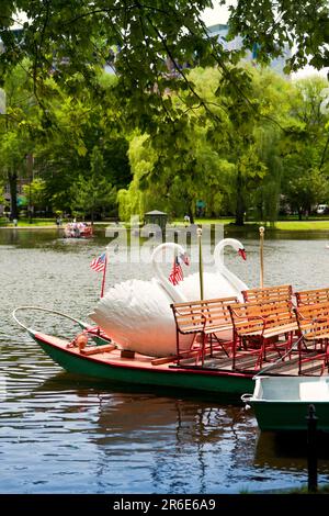 Swan boats a Boston Foto Stock