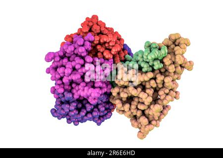 Tossina del colera, modello molecolare. La tossina del colera (choleragen) è un complesso proteico secreto dal batterio Vibrio cholerae, che causa la malattia cho Foto Stock