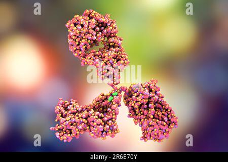 Illustrazione che mostra la struttura di una molecola di anticorpo, o immunoglobulina. Queste molecole a forma di Y hanno due bracci che possono legarsi a un antigolo specifico Foto Stock