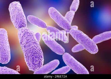 Batteri Klebsiella pneumoniae, illustrazione del computer. K. pneumoniae sono Gram-negativi, incapsulati, non-motili, enterici, procarioti di verga. Questa specie Foto Stock