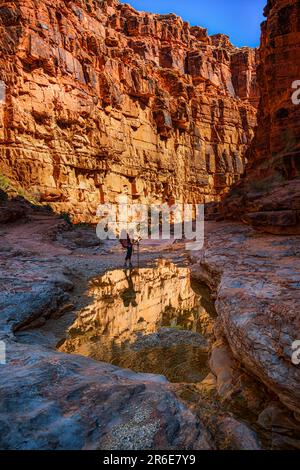 Donna Backpacking nel Grand Canyon, Arizona Foto Stock