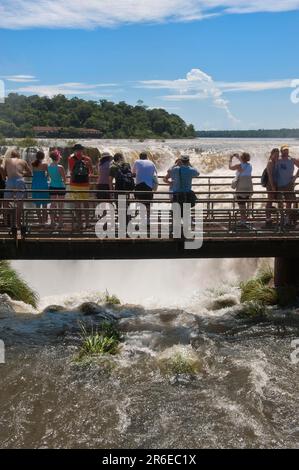 Turisti sul ponte pedonale, cascate di Iguazu, Iguacufaelle, Provincia di Misiones, Argentina Foto Stock