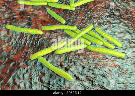 Tuberculosis batteri. Computer artwork di Mycobacterium tuberculosis bacteria, il Gram- positivo a forma di bacchetta batteri che causano la malattia tubercu Foto Stock