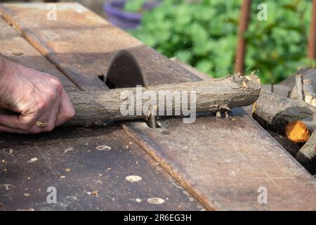 Mani di un lavoratore che segga legna da ardere con una sega circolare elettrica industriale primo piano. Raccolta legna da ardere per l'inverno, segheria. Segare legna da ardere con Foto Stock