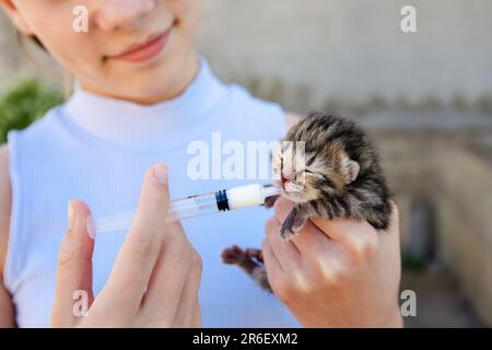 Un gattino neonato beve latte da una siringa. Alimentazione artificiale. Foto Stock