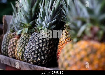 Itaberaba, bahia, brasile - 7 giugno 2023: Frutta di ananas e vendita in uno stallo nella città di Itaberaba. Foto Stock