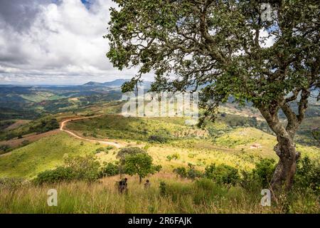 Ambiente intorno a Bula, Nkhata Bay District, nel nord del Malawi Foto Stock