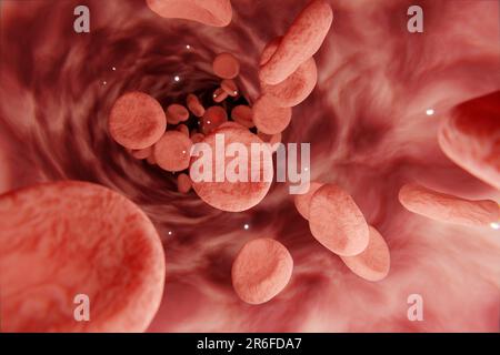 I globuli rossi in vena o arteria fluiscono all'interno di un organismo vivente. vista da endoscopio o microscopio, prevenzione e trattamento di vene e disagi Foto Stock