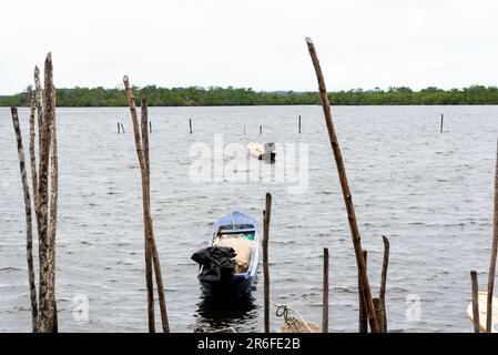 Taperoa, Bahia, Brasile - 22 giugno 2022: Canoe da pesca ormeggiate sul fiume Almas nella città di Taperoa, Bahia. Foto Stock