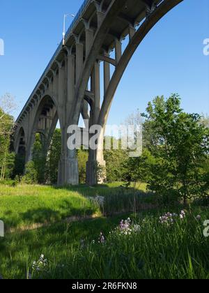 Il ponte della Ohio Route 82 si innalza sopra la Cuyahoga Valley nel Parco Nazionale della Cuyahoga Valley, appena a sud di Cleveland, con fiori selvatici che crescono Foto Stock