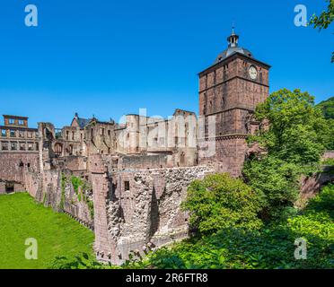 Ammira l'Hirschgraben al castello di Heidelberg, Baden Wuerttemberg, Germania, Europa Foto Stock