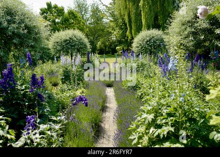 Giardino all'inglese con fiori blu e viola nel sud-ovest della Germania Foto Stock